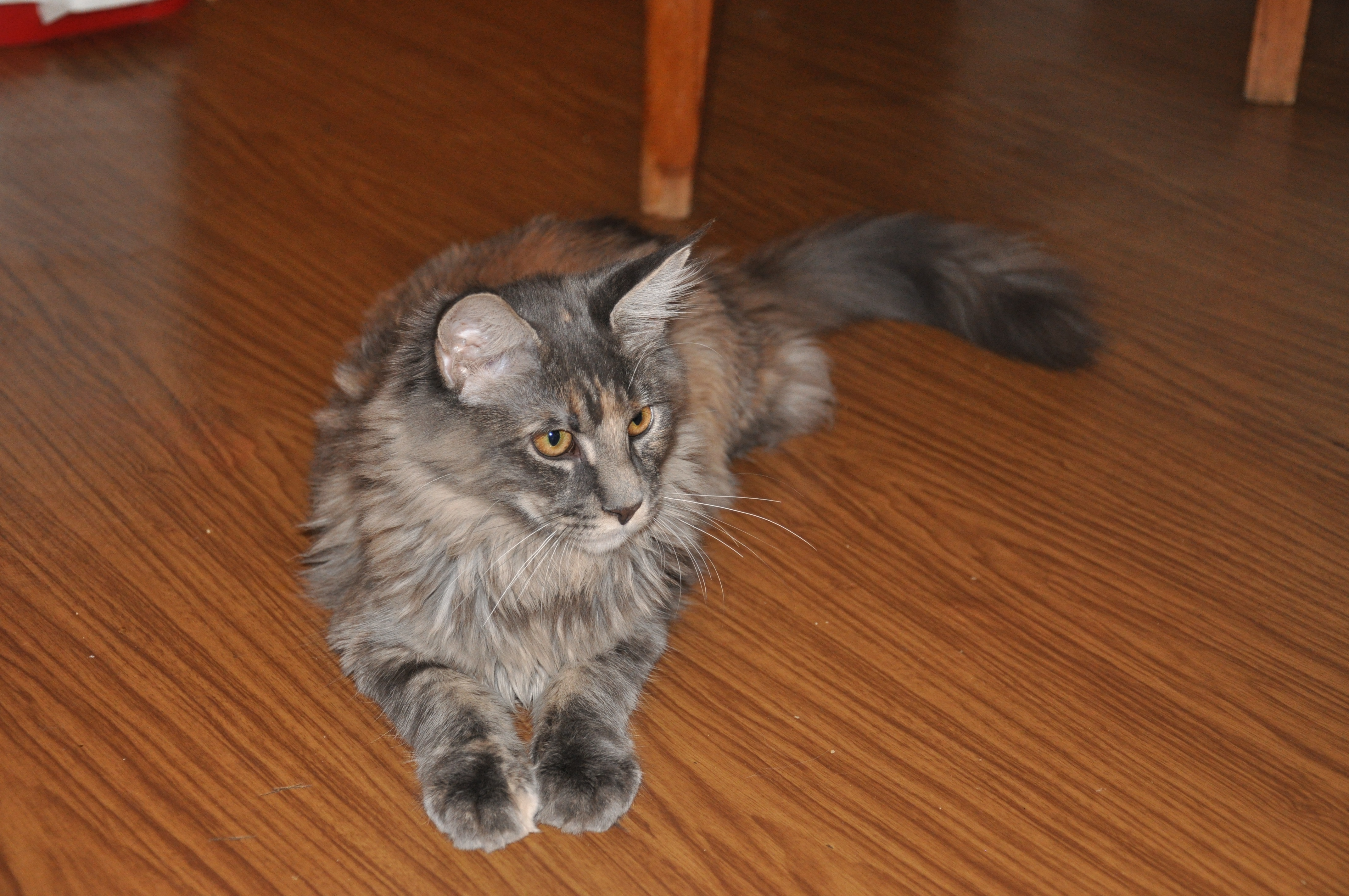 DSC_0408.JPG