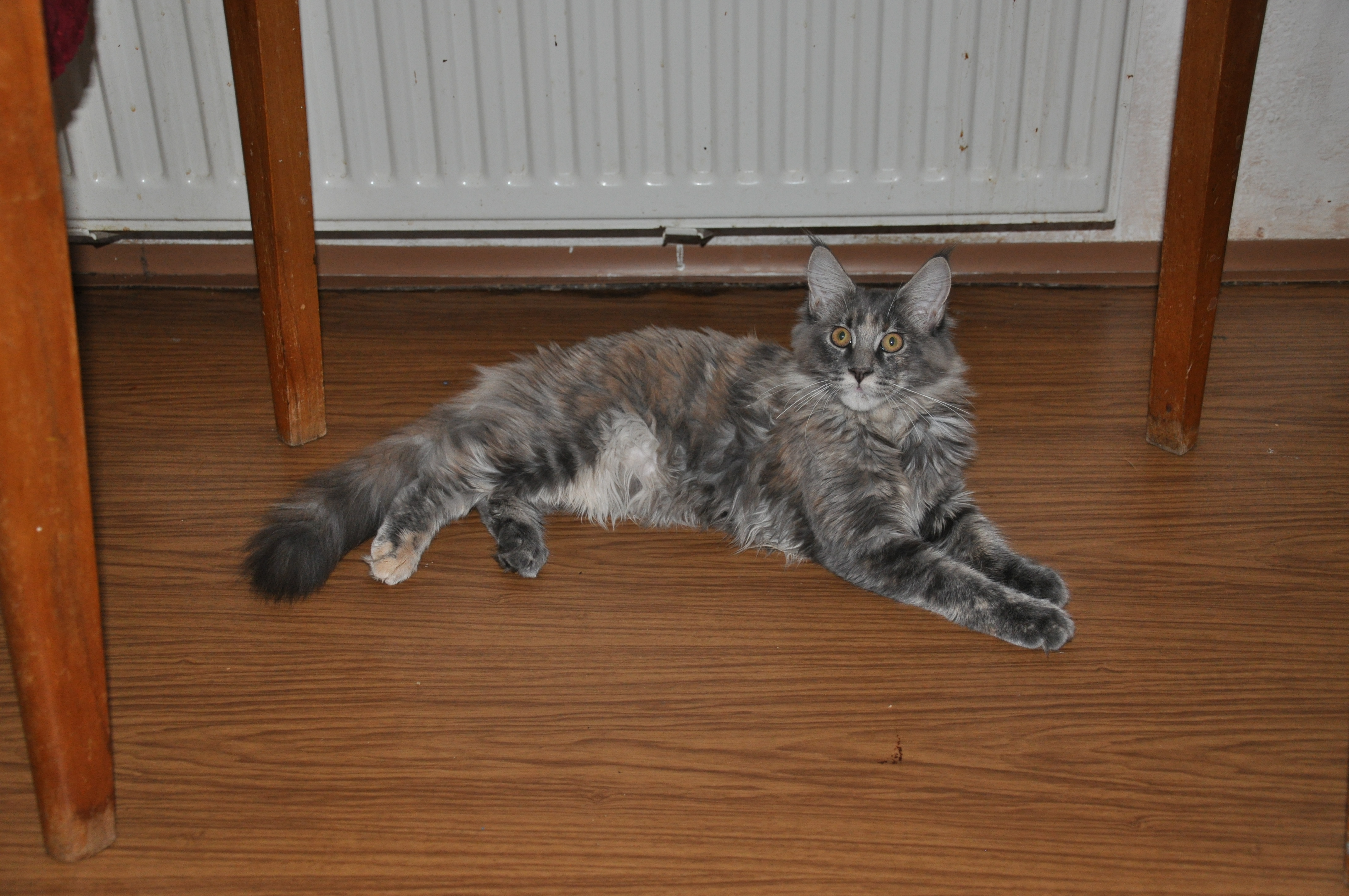 DSC_0414.JPG