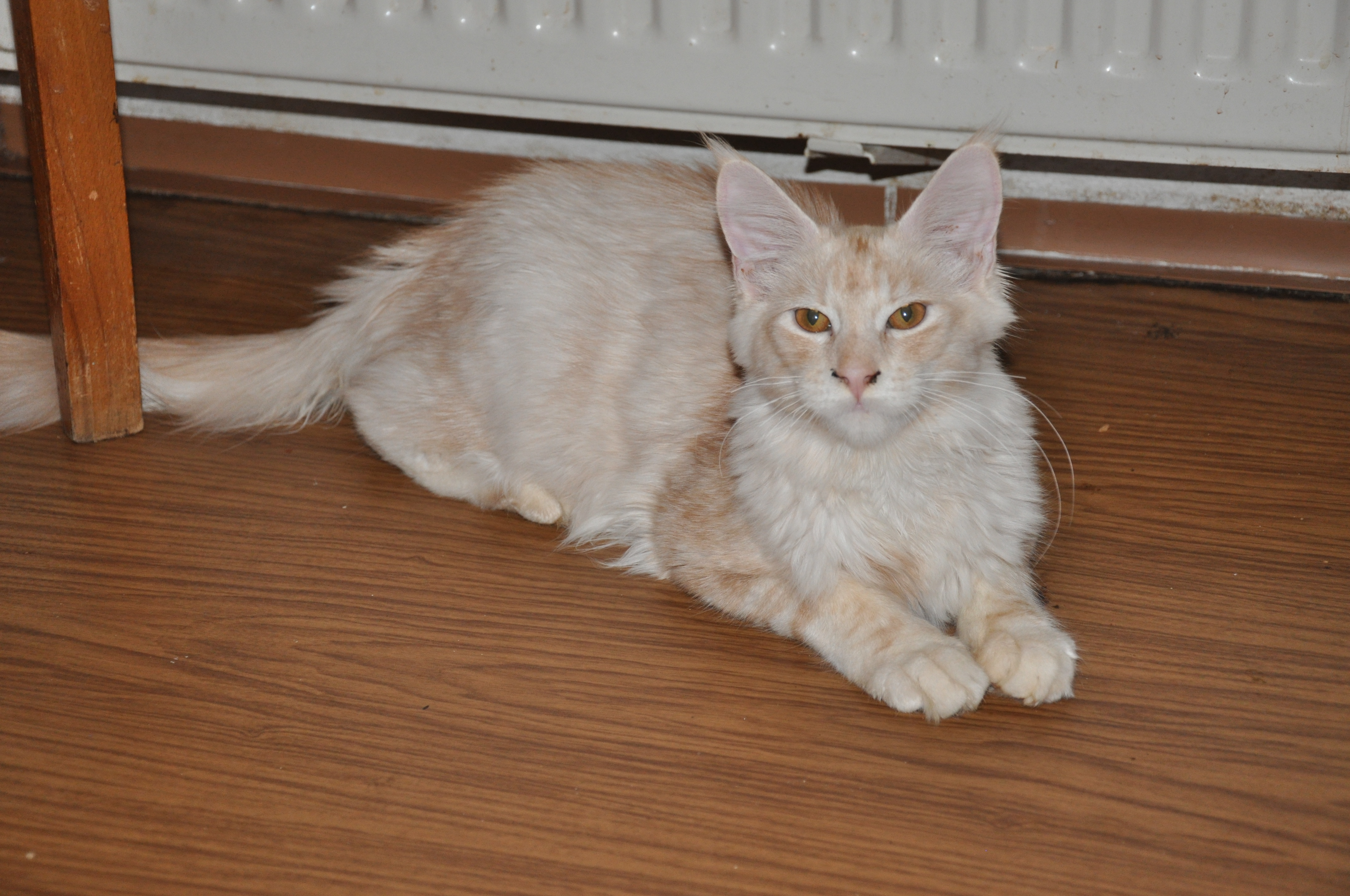 DSC_0406.JPG