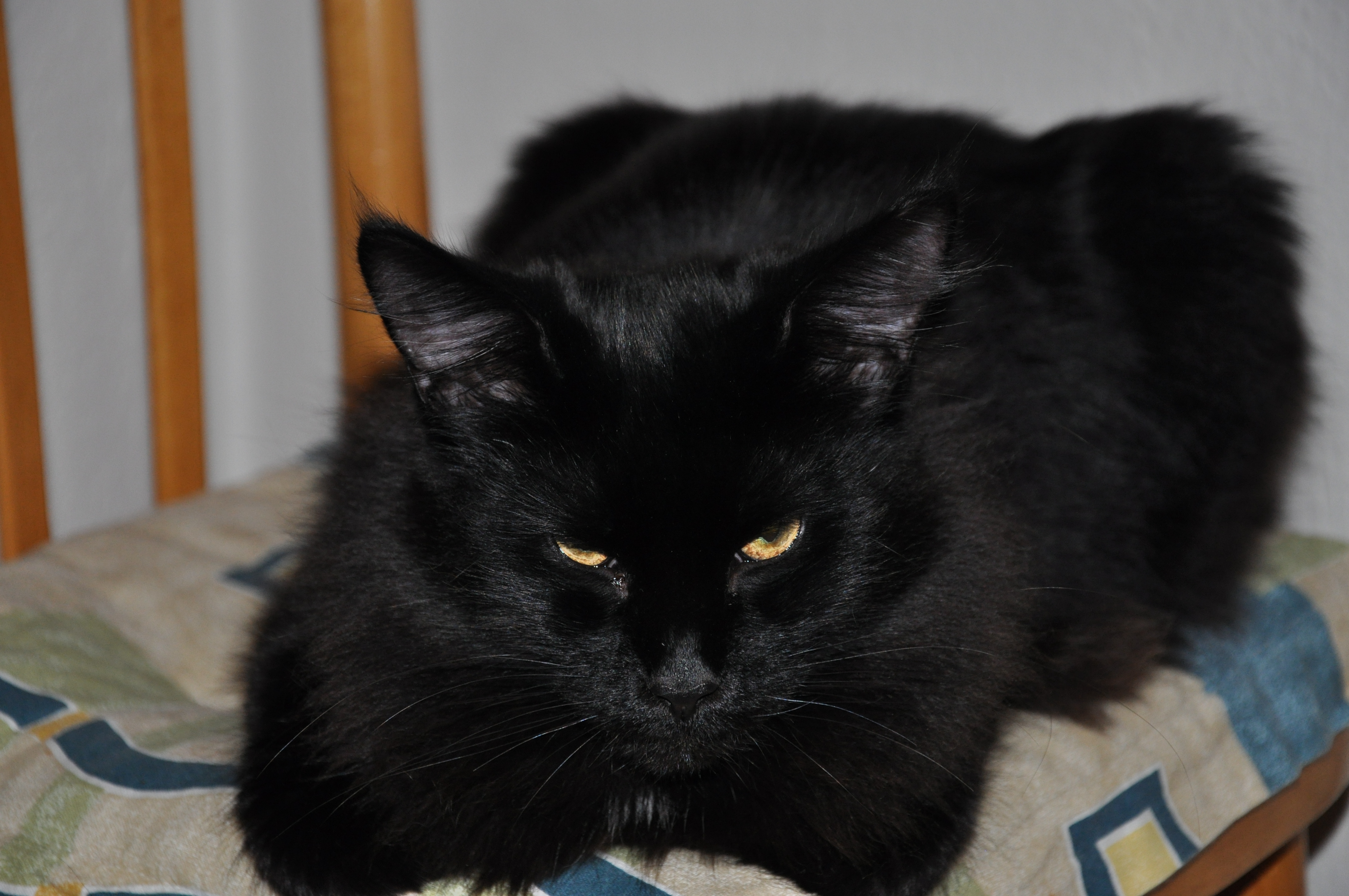 DSC_0084.JPG