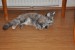 DSC_0413.JPG