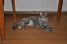 DSC_0414.JPG