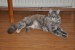 DSC_0415.JPG